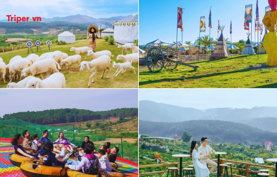 NGÀY 2: THAM QUAN MONGO LAND - HẦM RƯỢU VANG VĨNH TIẾN - LÀNG CỔ TÍCH