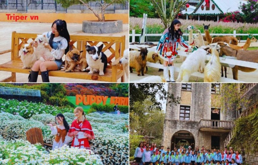 TOUR DU LỊCH TP. HỒ CHÍ MINH – ĐÀ LẠT 5 NGÀY 4 ĐÊM