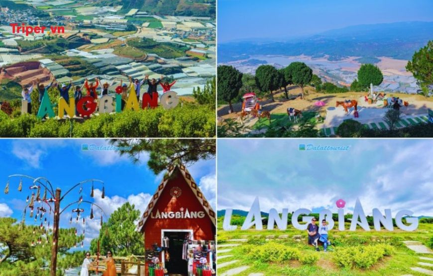 TOUR DU LỊCH TP. HỒ CHÍ MINH – ĐÀ LẠT 5 NGÀY 4 ĐÊM
