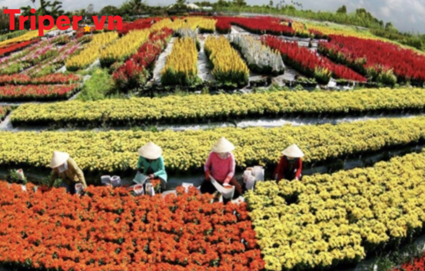 TOUR MIỀN TÂY NAM DU