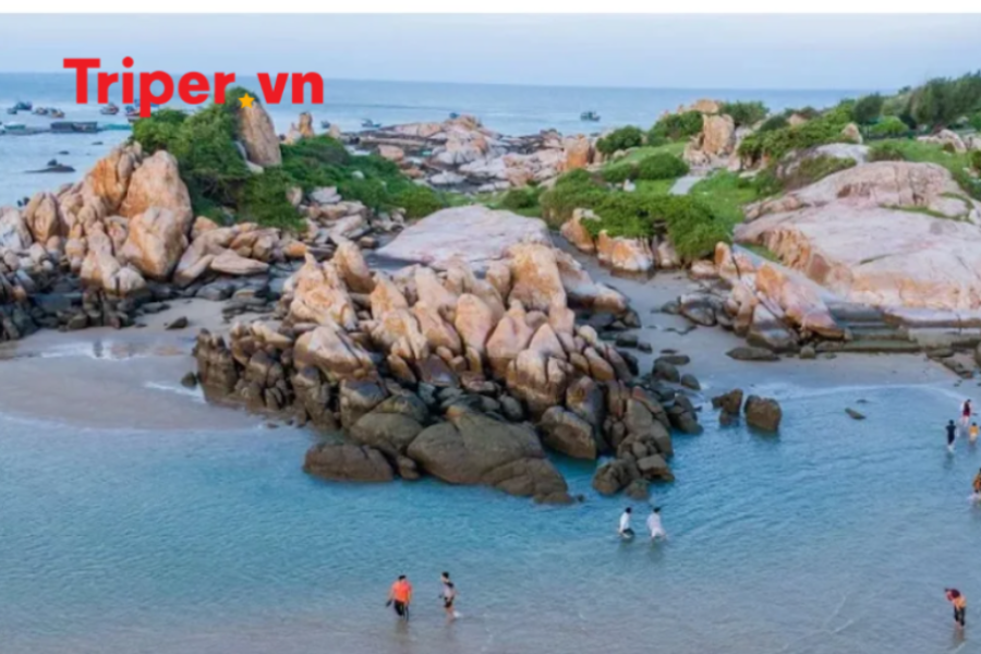 TOUR PHAN THIẾT – TEAM BUILDING – 3 Ngày 2 Đêm