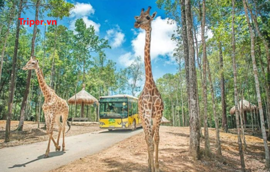 TOUR PHÚ QUỐC 5 NGÀY 4 ĐÊM