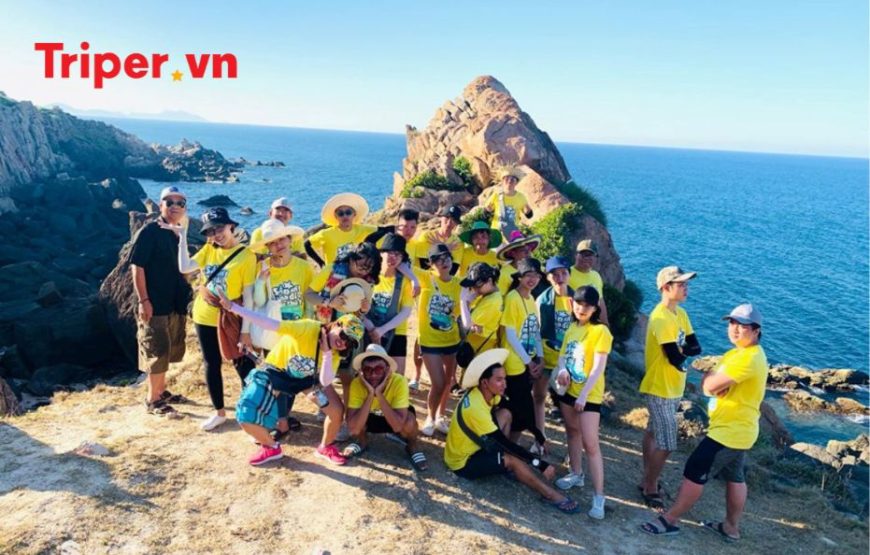 TOUR QUY NHƠN 2 NGÀY 1 ĐÊM