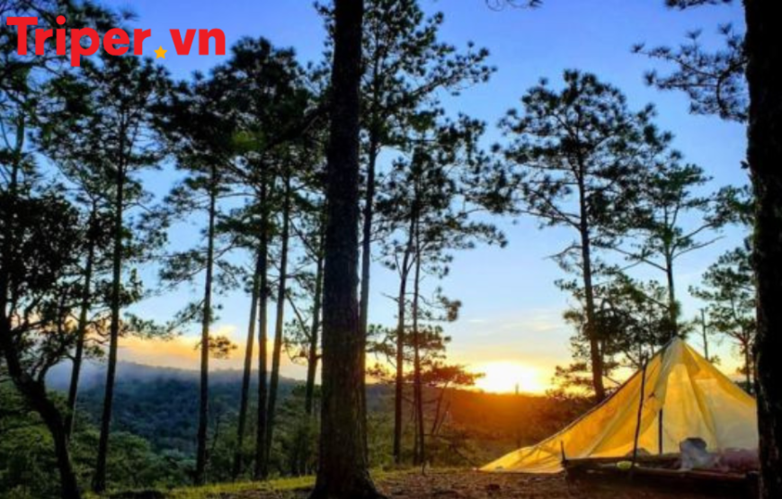 TOUR SINH VIÊN ĐÀ LẠT – KHÁM PHÁ VQG BIDOUP 4 NGÀY 3 ĐÊM