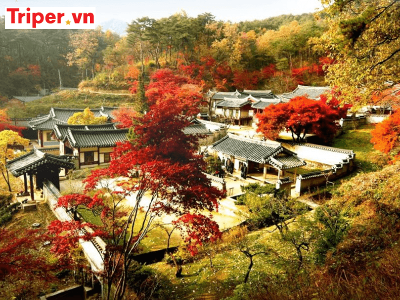 Thông tin các tour nổi bật tại công ty du lịch Bình Minh