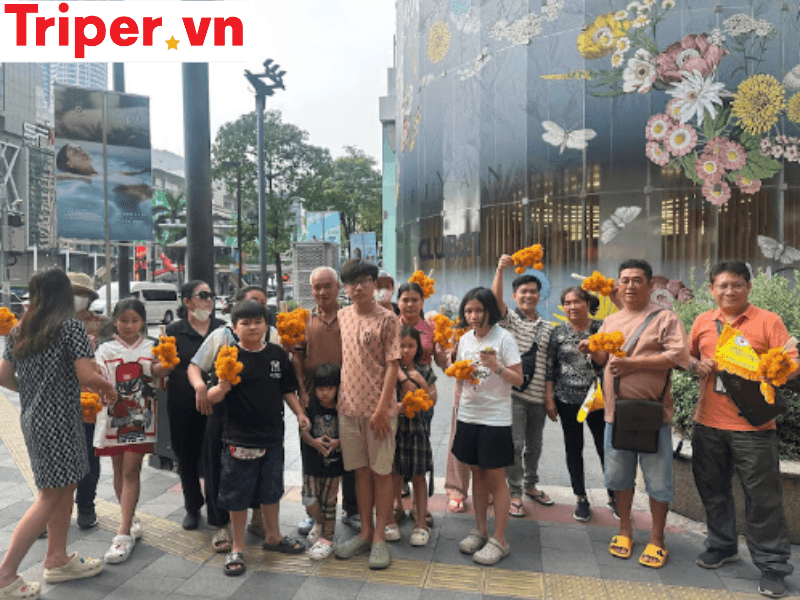 Thông tin các tour nổi bật tại công ty du lịch Sao Biển