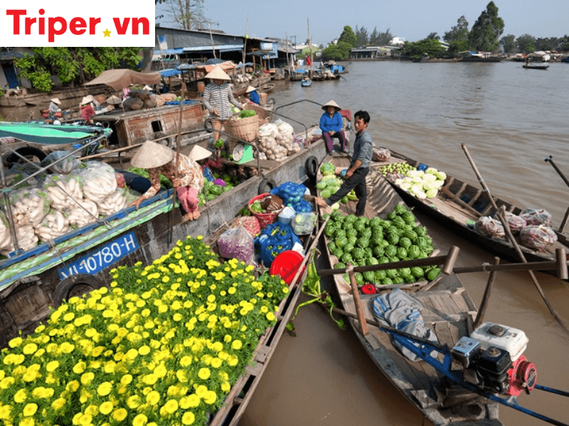 Thông tin liên hệ công ty Du lịch Hoa Sen Vàng