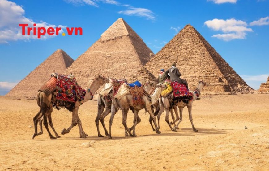 Tour Ai Cập: Cairo | Alexandria | Aswan | Kom Ombo | Edfu | Luxor