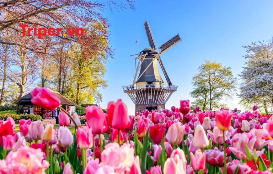 Tour Châu Âu 6 Nước: Đức | Hà Lan | Bỉ | Pháp | Thụy Sĩ | Ý