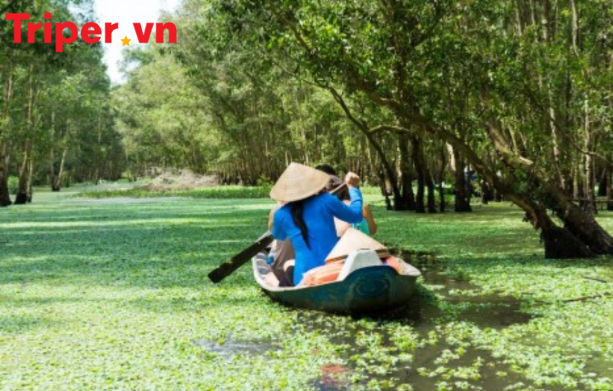 Tour Châu Đốc – Rừng Tràm Trà Sư – Hà Tiên – Cà Mau – Bạc Liêu – Sóc Trăng – Cần Thơ | 6 Ngày