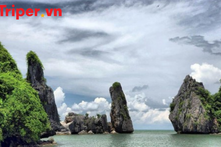 Tour Châu Đốc - Rừng Tràm Trà Sư - Hà Tiên - Cà Mau - Bạc Liêu - Sóc Trăng - Cần Thơ 6 Ngày