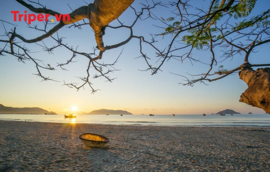 Tour Côn Đảo 2 Ngày 1 Đêm