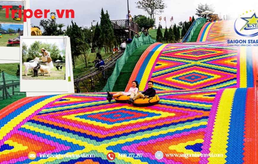 Tour Đà Lạt Dành Cho Sinh Viên 3 Ngày 2 Đêm