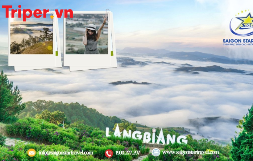Tour Đà Lạt Dành Cho Sinh Viên 3 Ngày 2 Đêm