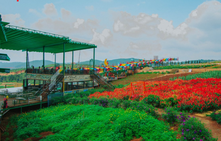 Tour Đà Lạt | KDL Tea Bobla | Fairytale Land | God Valley 4 ngày 3 đêm