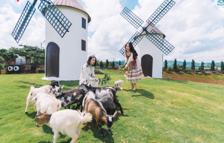 Tour Đà Lạt | KDL Tea Bobla | Fairytale Land | God Valley 4 ngày 3 đêm