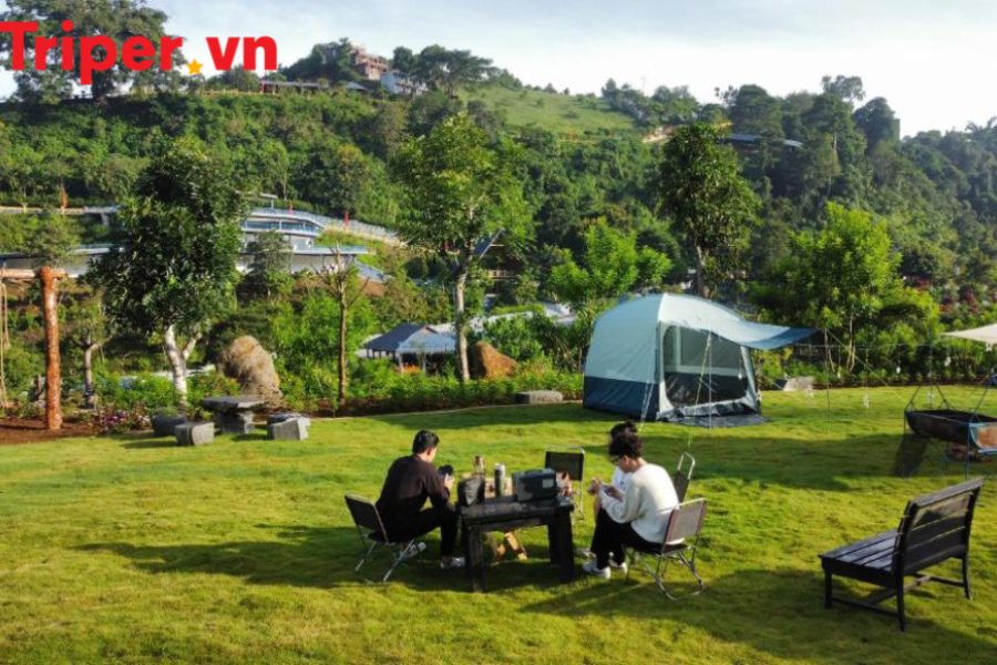 Tour Đà Lạt | KDL Tea Bobla | Fairytale Land | God Valley