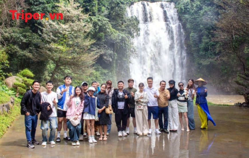 Tour Đà Lạt | KDL Tea Bobla | Puppy Farm | Mê Linh Coffee Garden 3 ngày 2 đêm