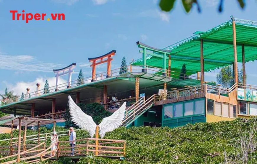 Tour Đà Lạt | KDL Tea Bobla | Puppy Farm | Mê Linh Coffee Garden 3 ngày 2 đêm