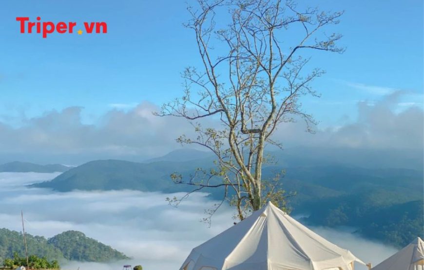 Tour Đà Lạt | KDL Tea Bobla | Puppy Farm | Mê Linh Coffee Garden 3 ngày 2 đêm