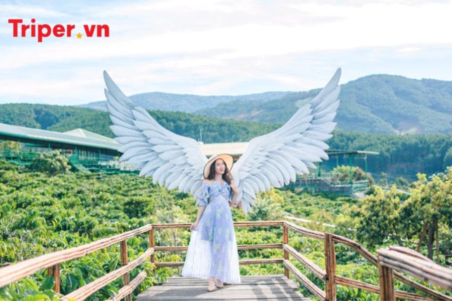 Tour Đà Lạt | KDL Tea Bobla | Puppy Farm | Mê Linh Coffee Garden 3 ngày 2 đêm