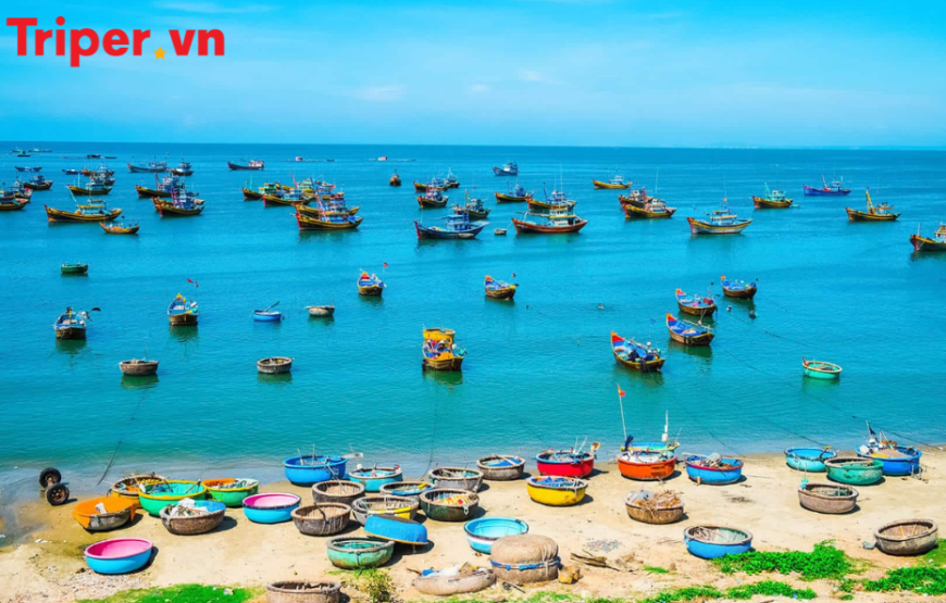 Tour Đà Lạt – Mũi Né: KDL Tea Bobla | Thác Datanla | Mango Beach Mũi Né 4 ngày 3 đêm