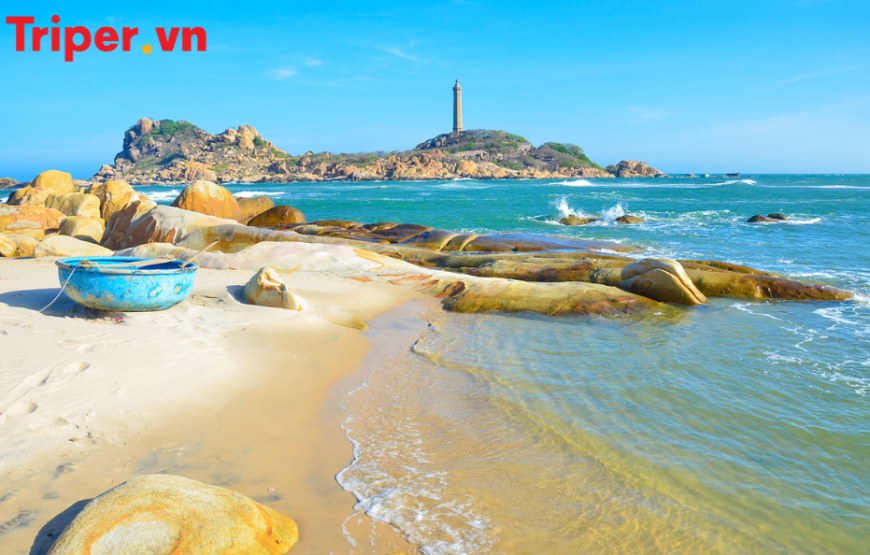 Tour Đà Lạt – Mũi Né: KDL Tea Bobla | Thác Datanla | Mango Beach Mũi Né 4 ngày 3 đêm