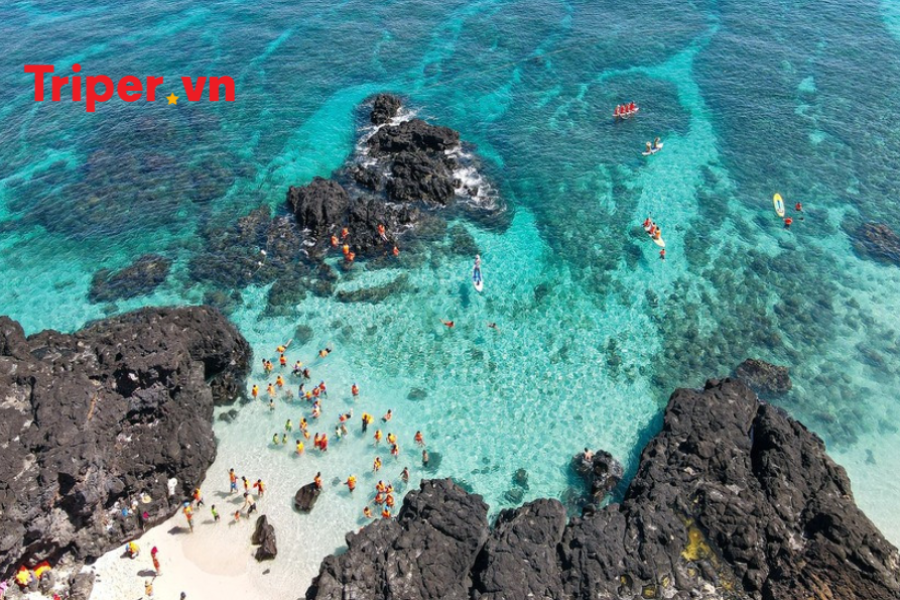Tour Đà Nẵng | Hội An | Đảo Lý Sơn