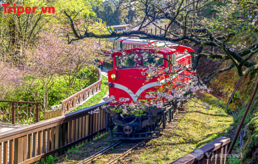 Tour Đài Loan: Đài Trung | Cao Hùng | Đài Bắc | Alishan 5N4Đ