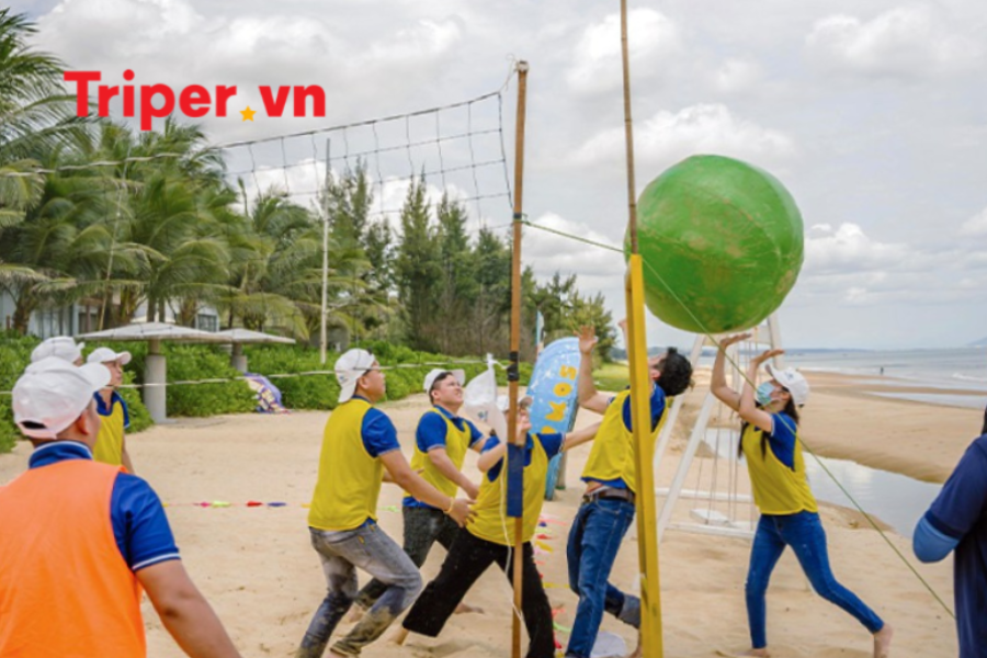 Tour Đoàn - Vũng Tàu 2 ngày 1 đêm