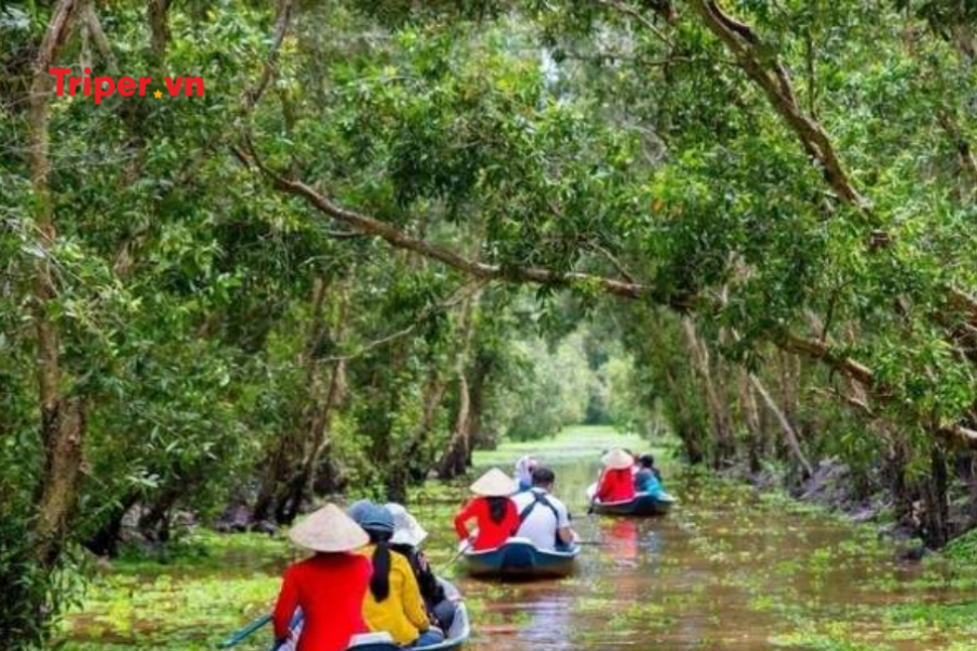 Tour Du Lịch Miền Tây 5 Ngày 4 Đêm - Khám Phá 8 Tỉnh Miền Tây