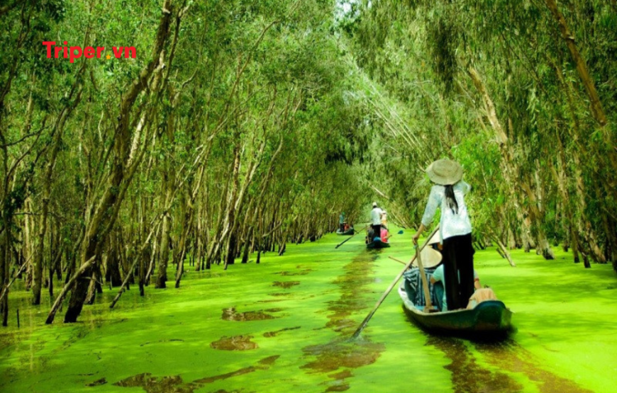 Tour Du Lịch Miền Tây 5 Ngày 4 Đêm – Khám Phá 8 Tỉnh Miền Tây