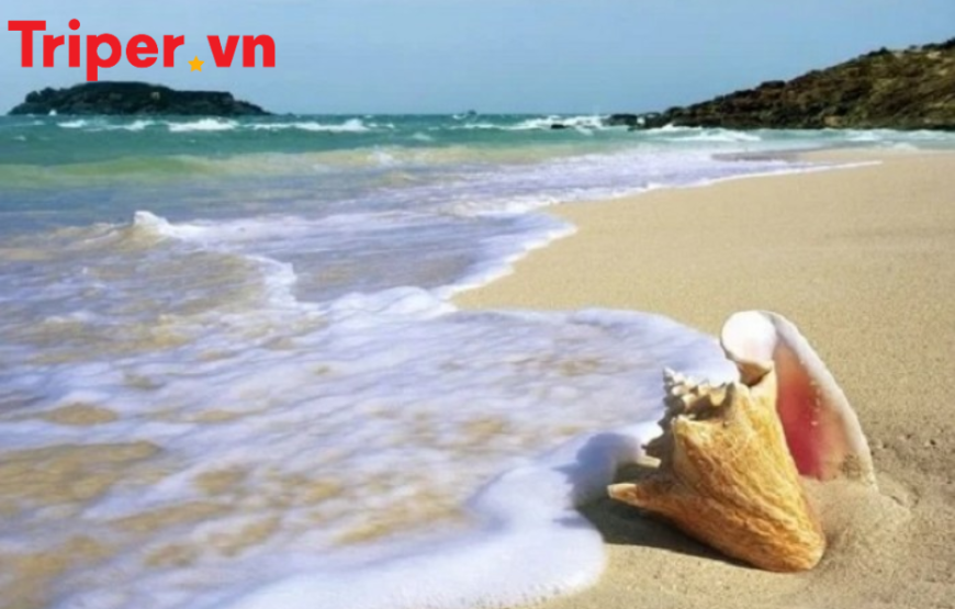 Tour Du Lịch Mũi Né 4 Ngày 3 Đêm