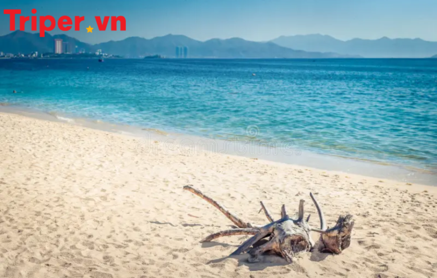 Tour Du Lịch Phan Thiết – Nha Trang – Đà Lạt 6 Ngày 5 Đêm