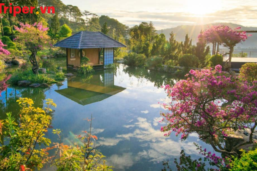 Tour Du Lịch Phú Yên 5 Ngày 4 Đêm