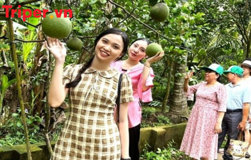 Tour Du Lịch Sài Gòn – Núi Bà Đen – Tòa Thánh Cao Đài – Địa Đạo Củ Chi – Mỹ Tho – Bến Tre 3 Ngày 2 đêm