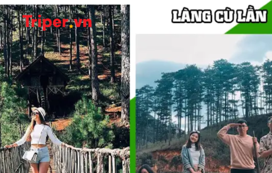 Tour Du Lịch Teambuilding Đà Lạt 3 Ngày 2 Đêm Năm 2025