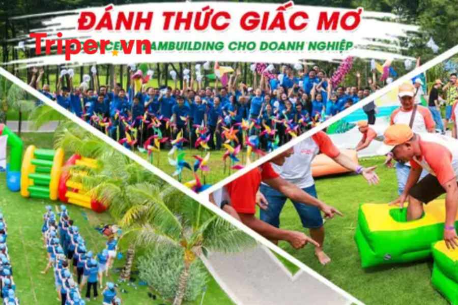 Tour Du Lịch Teambuilding Đà Lạt 3 Ngày 2 Đêm Năm 2025