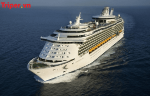 Tour Du thuyền Star Navigator | Đài Loan | Hàn Quốc | Nhật Bản