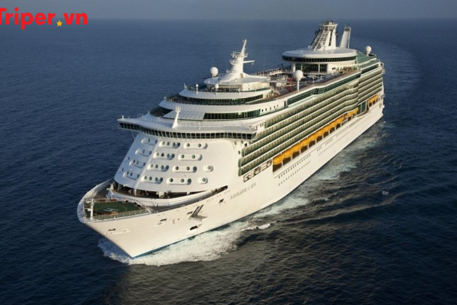 Tour Du thuyền Star Navigator | Đài Loan | Hàn Quốc | Nhật Bản