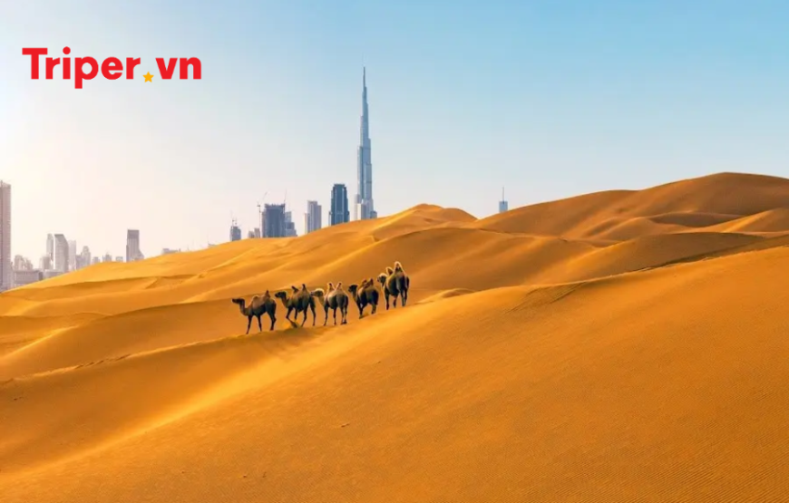 Tour Dubai | Abu Dhabi | Bay Emirates 5 Sao