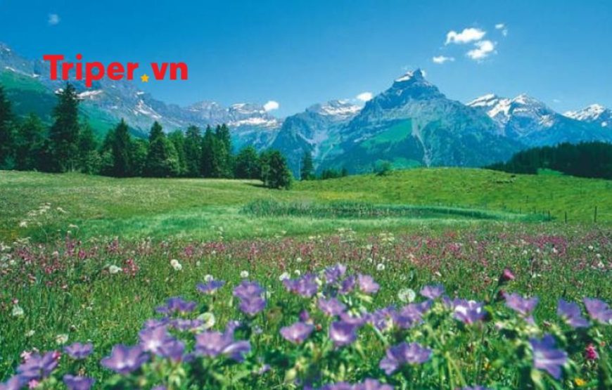 Tour Đức | Áo | Liechtenstein | Thụy Sĩ | Pháp