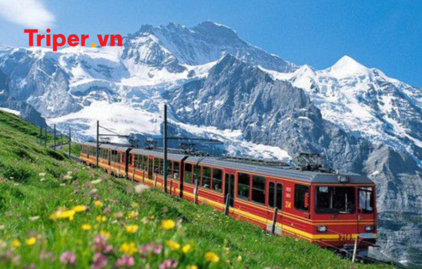 Tour Đức | Áo | Liechtenstein | Thụy Sĩ | Pháp