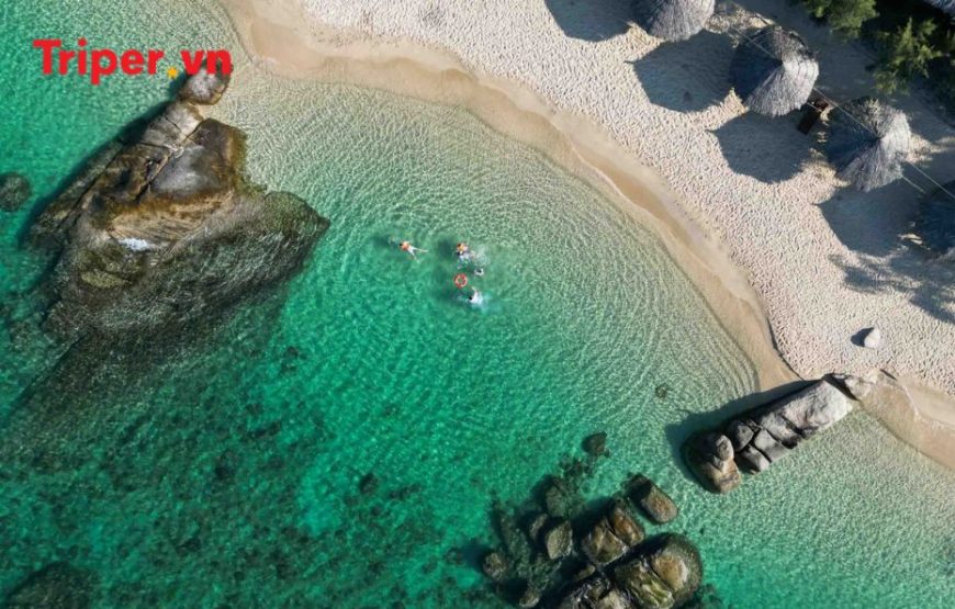 Tour Gia Đình – Nha Trang – Đà Lạt 5 ngày 4 đêm