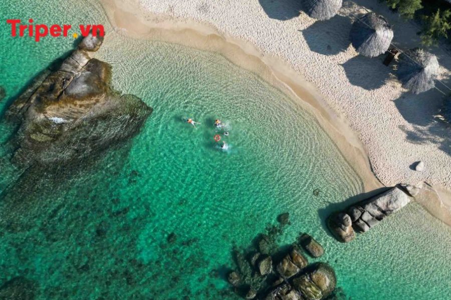 Tour Gia Đình - Nha Trang - Đà Lạt 5 ngày 4 đêm