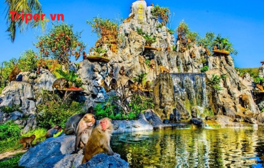 Tour Gia Đình – Nha Trang – Đà Lạt 5 ngày 4 đêm