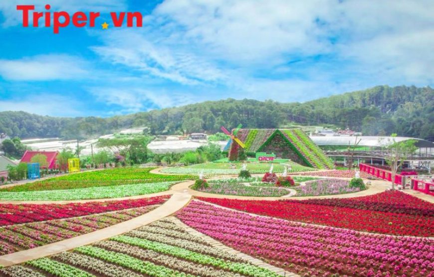 Tour Gia Đình – Phan Thiết – Nha Trang – Đà Lạt 6 ngày 5 đêm