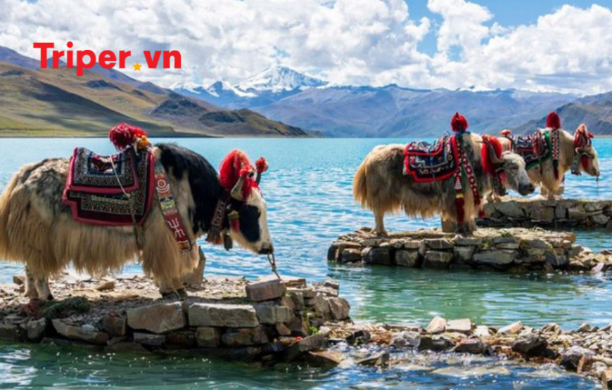 Tour Hành Trình Tây Tạng Huyền Bí