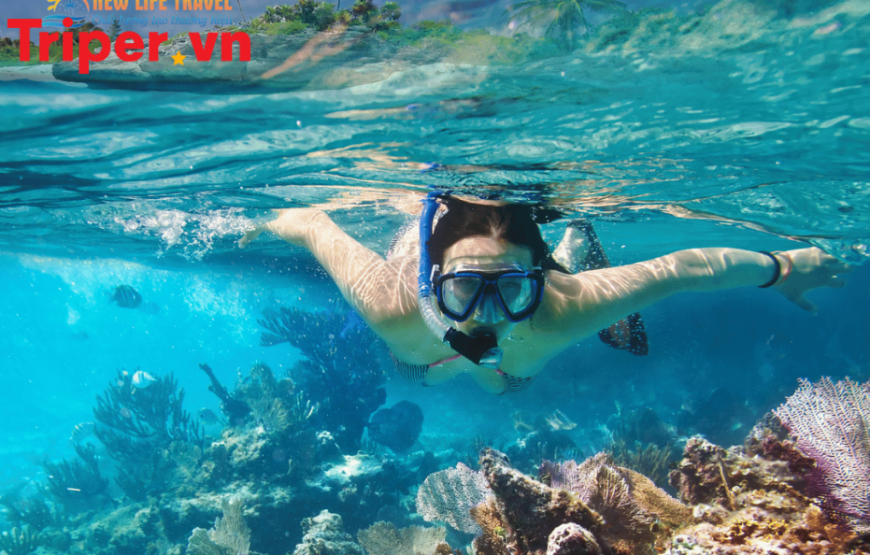 Tour Hồ Chí Minh Nha Trang 5 Ngày 4 Đêm