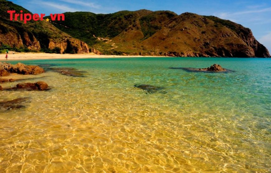 Tour Hồ Chí Minh- Phú Yên – Quy Nhơn – Hồ Chí Minh 5 ngày 4 đêm
